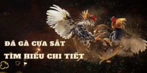 Đá gà cựa sắt