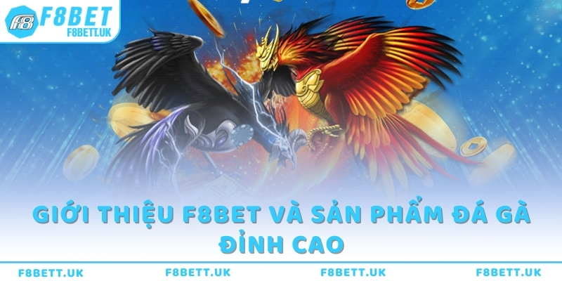 Giới thiệu F8bet và sản phẩm Đá gà đỉnh cao