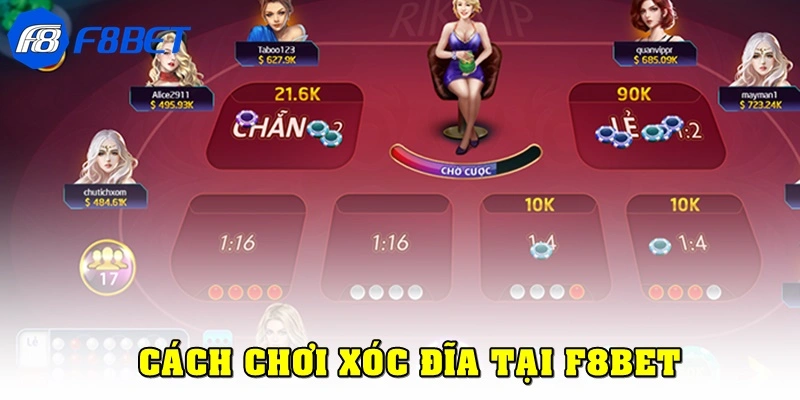 Hướng dẫn cách chơi xóc đĩa F8bet